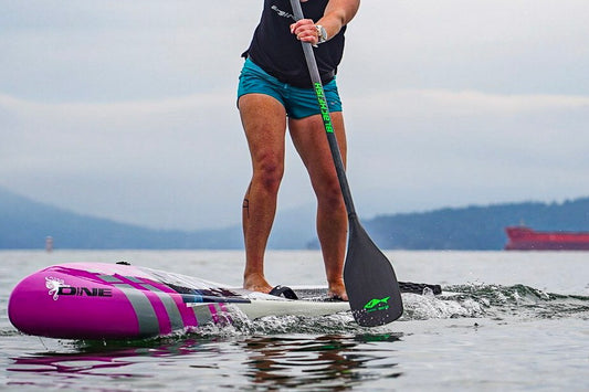 Blackfish Releases The Brand New Viento!