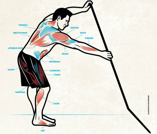 SUP is the hot new cross-training activity!