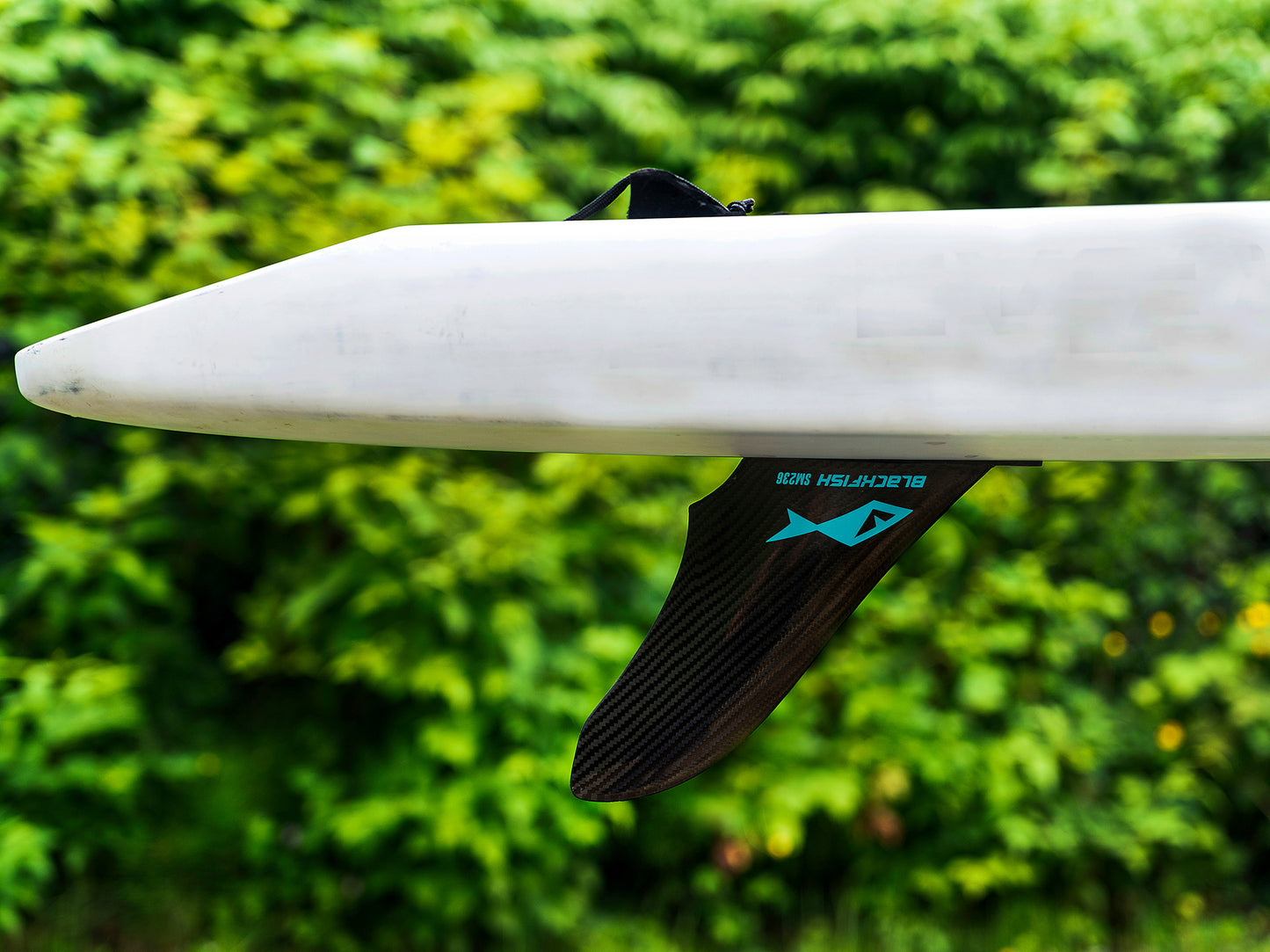 Blackfish SUP Fins