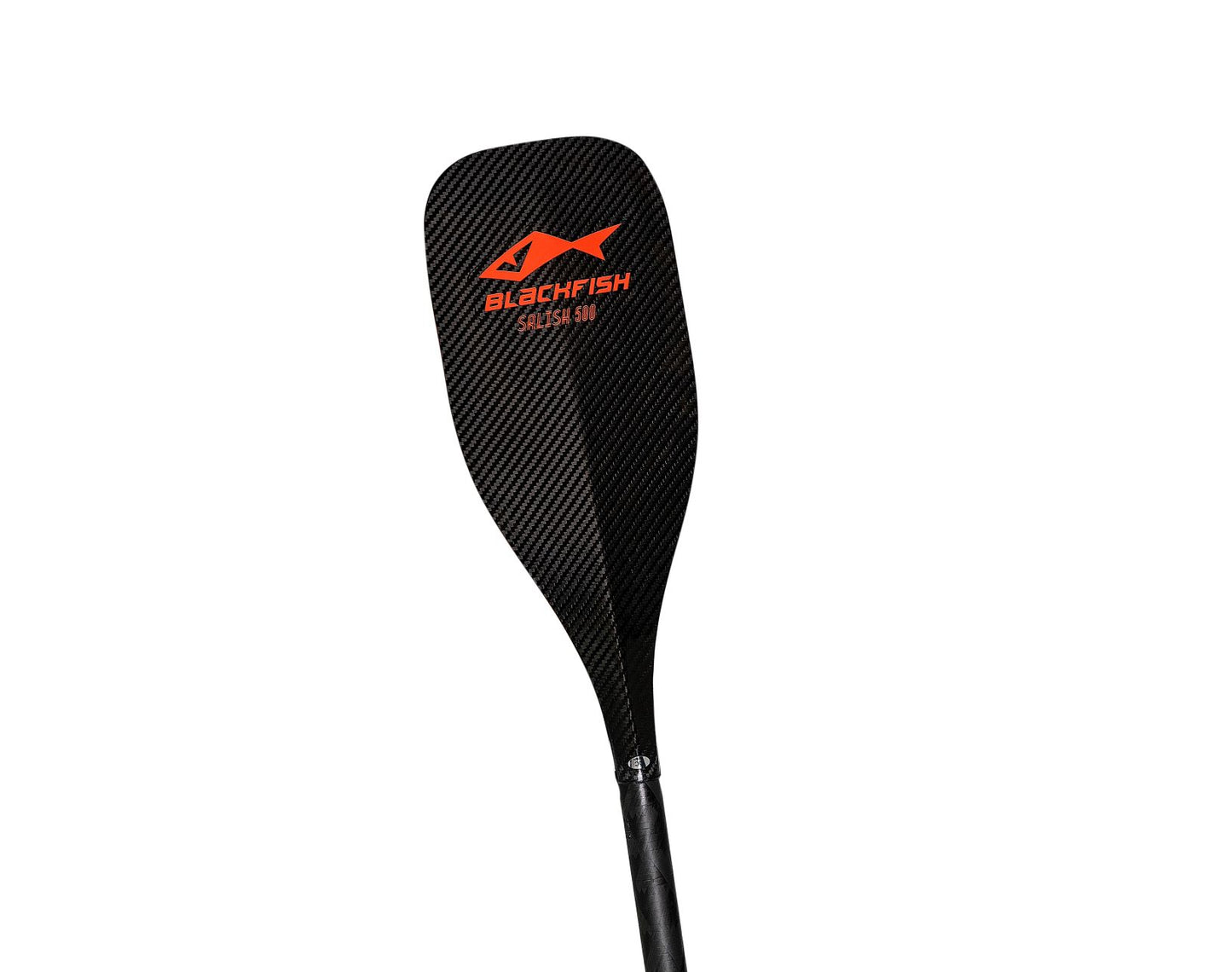 Blackfish Salish Paddle