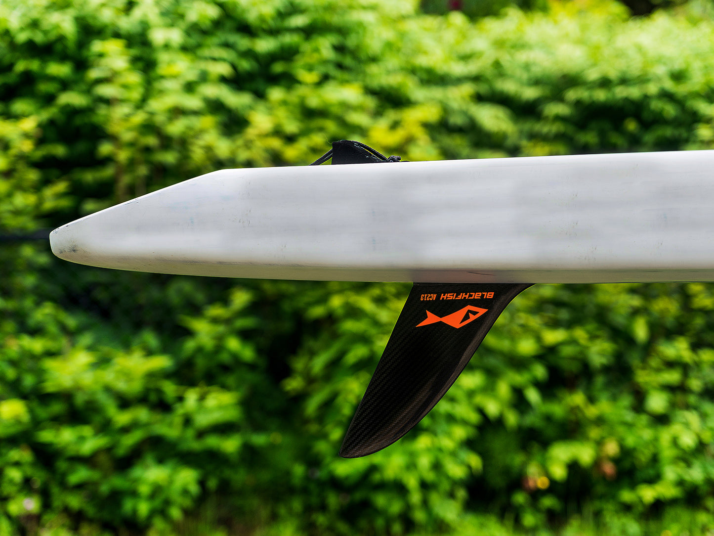 Blackfish SUP Fins