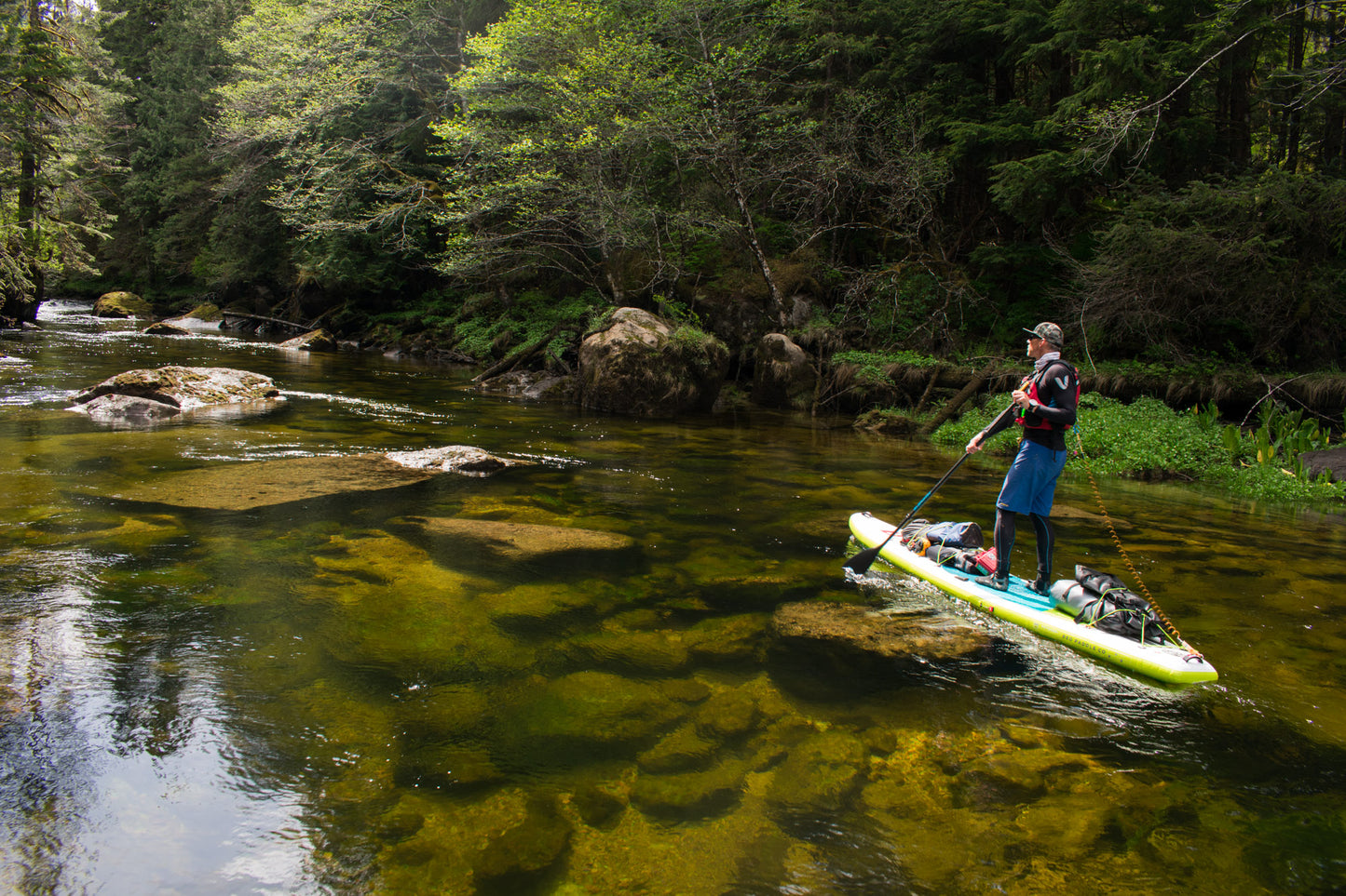 Blackfish Paddles Norm Hann Andaman 520 Paddle